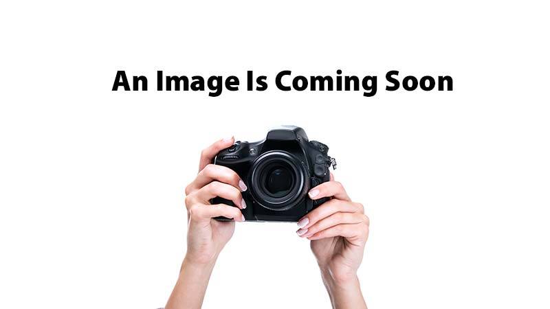 an image is coming soon