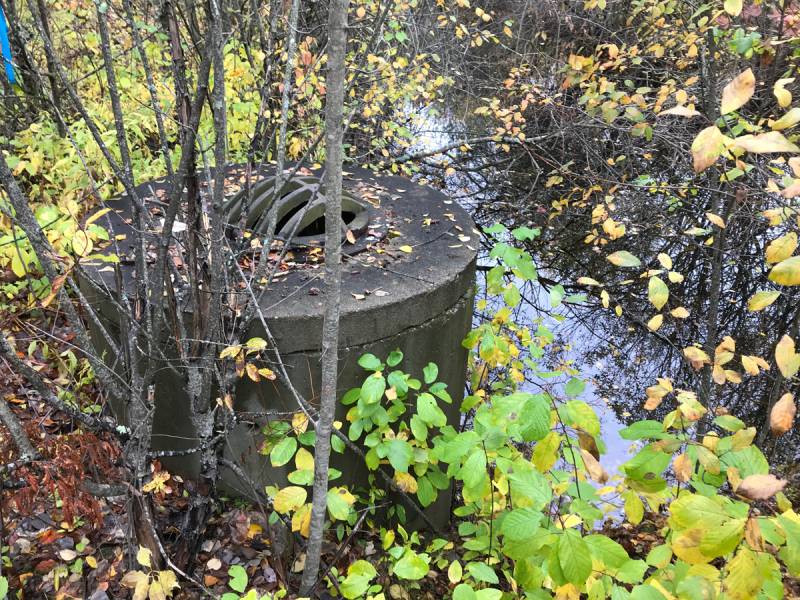 Shop Talk - Wetland or Detention Basin, Timing is Everything